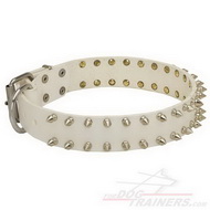 Collare in cuoio bianco con borchie a punta per cane